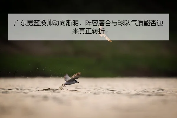 guang-dong-nan-lan-huan-shuai-dong-xiang-jian-ming-zhen-rong-mo-he-yu-qiu-dui-qi-zhi-neng-fou-ying-lai-zhen-zheng-zhuan-2-648.jpg